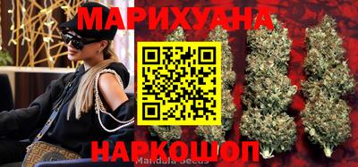 винт Обь